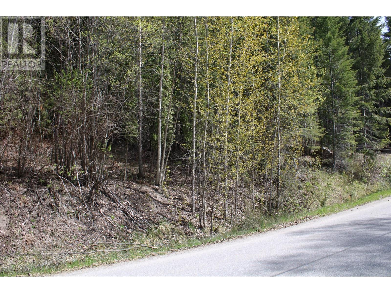 Lot 2 Vickers Trail, Anglemont, British Columbia  V0E 1M8 - Photo 3 - 10310915