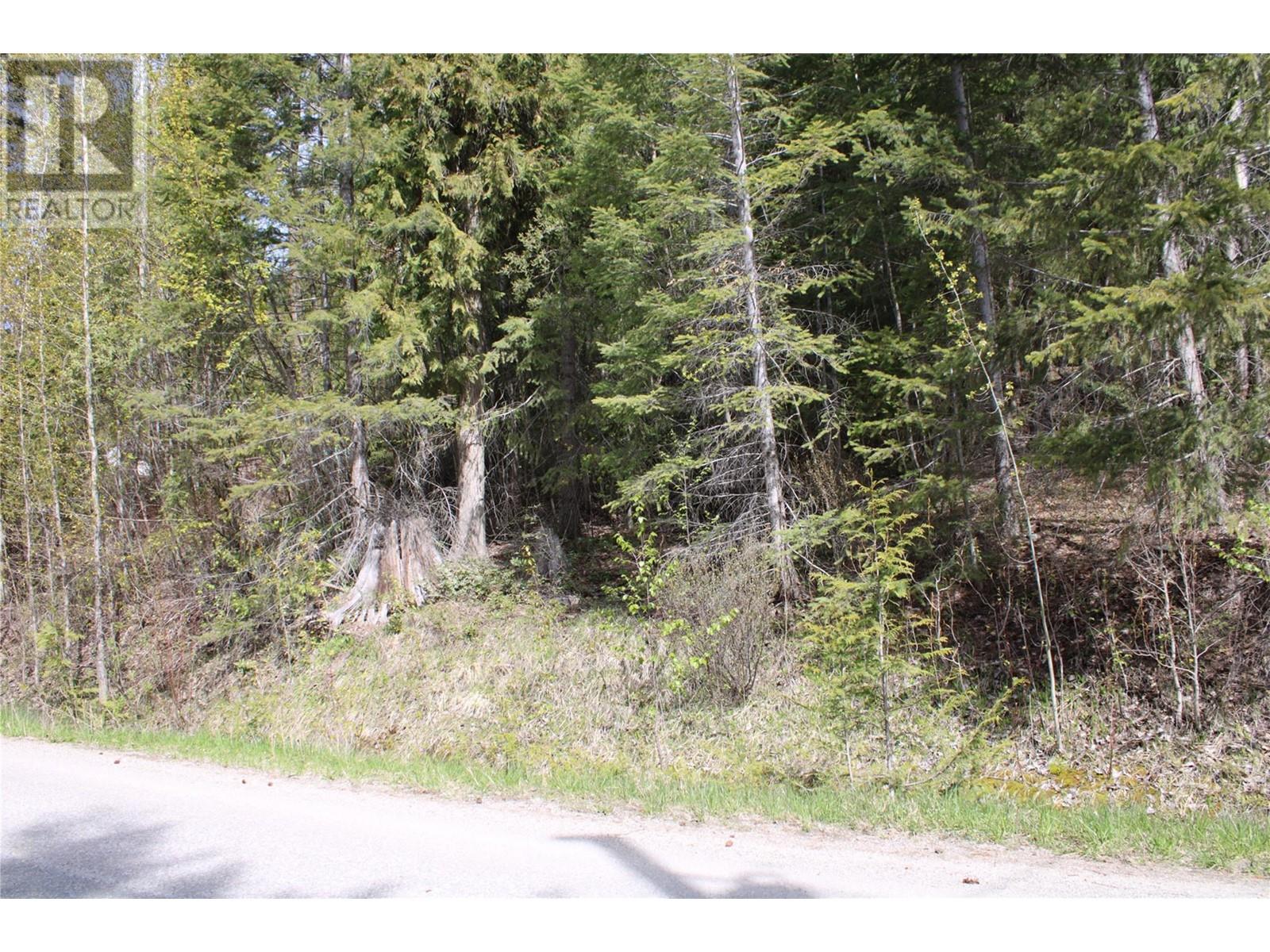 Lot 2 Vickers Trail, Anglemont, British Columbia  V0E 1M8 - Photo 6 - 10310915