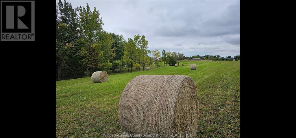 1475 County Road 27, Lakeshore, Ontario  N0R 1A0 - Photo 15 - 24008549