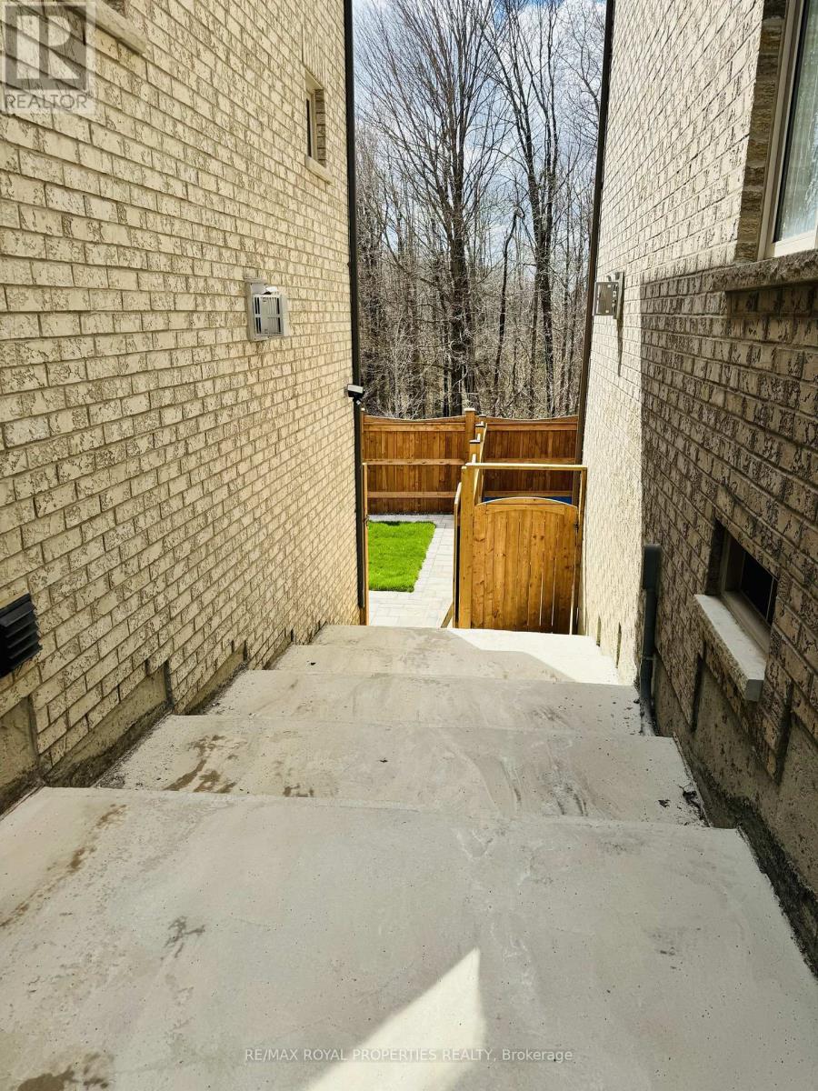 #bsmt -105 Auckland Dr, Whitby, Ontario  L1P 0J4 - Photo 10 - E8254918