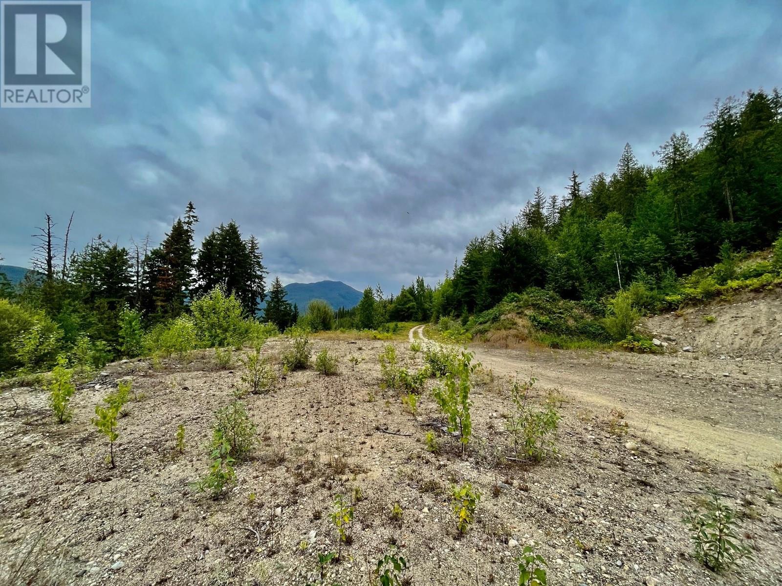 Lot 8 East Anstey Arm Bay Sicamous Photo 27