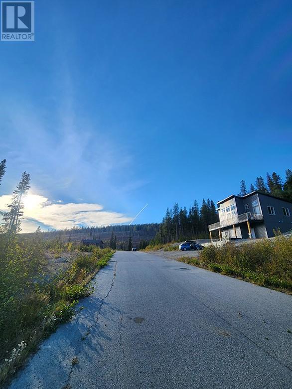 Lot 21 Buck Road, Oliver, British Columbia  V0H 1T8 - Photo 16 - 10310920