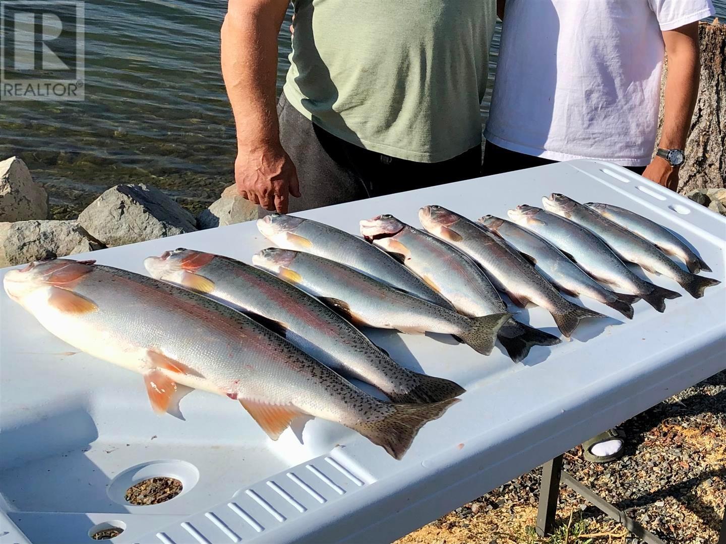 8865 Old Kamloops Rd, Stump Lake, British Columbia  V0E 2R0 - Photo 4 - 178048