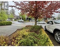 Garden Level-3351 CANARY PLACE, coquitlam, British Columbia