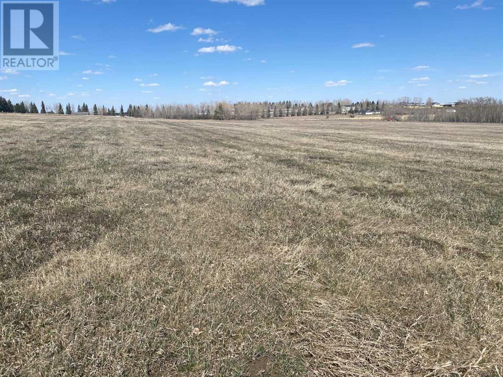 21 Street W, Rural Foothills County, Alberta  T1S 3M5 - Photo 20 - A2125070