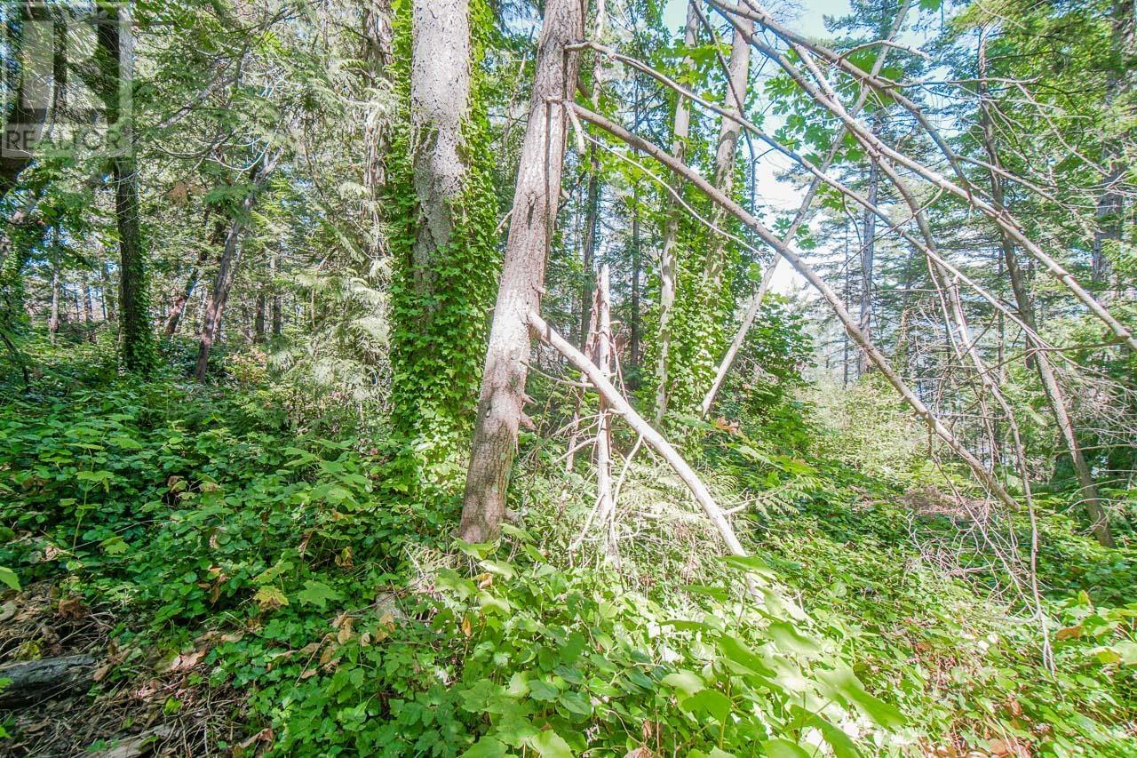 16 Passage Island, West Vancouver, British Columbia  V7W 1V7 - Photo 28 - R2833774