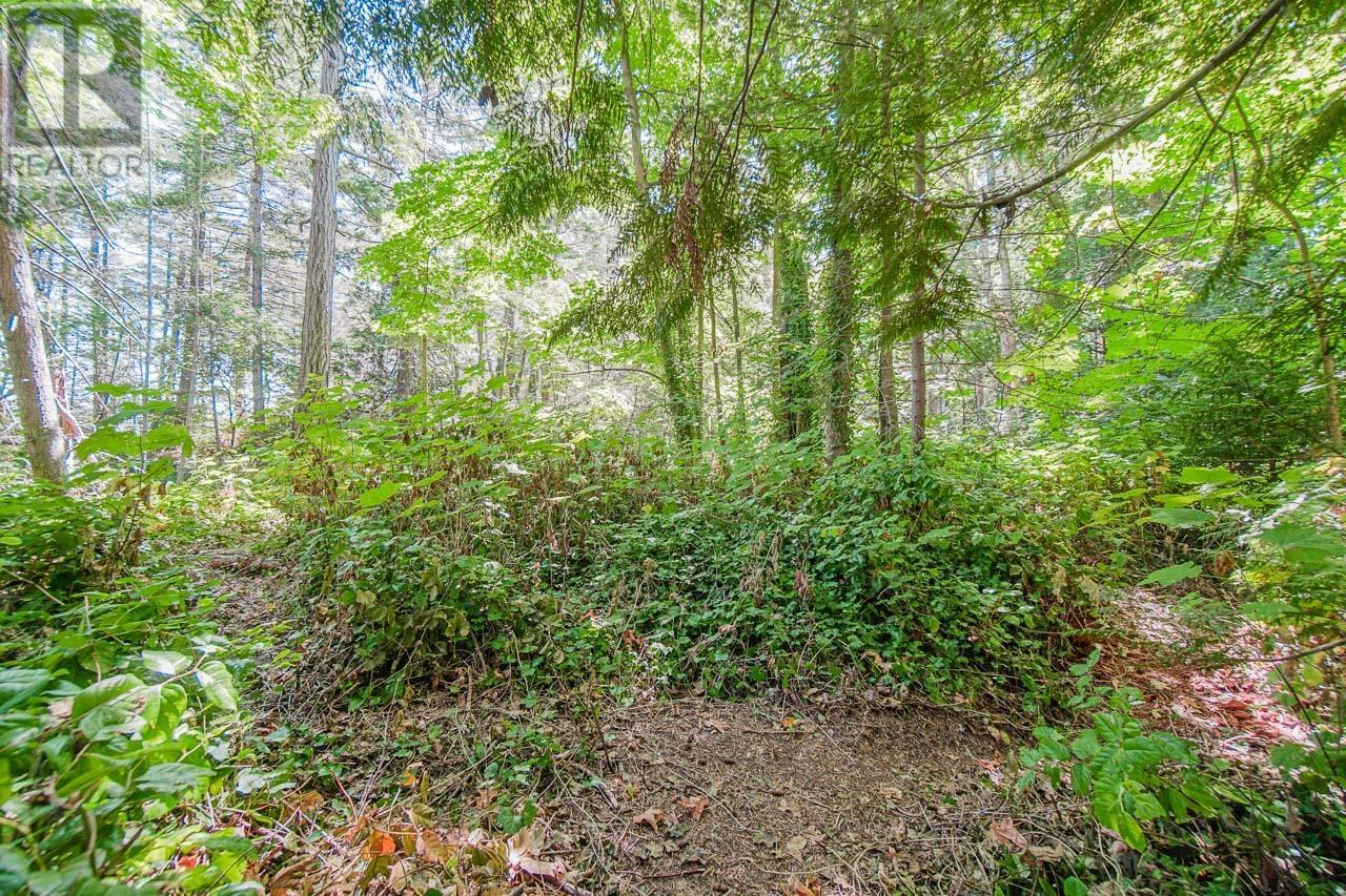 16 Passage Island, West Vancouver, British Columbia  V7W 1V7 - Photo 31 - R2833774