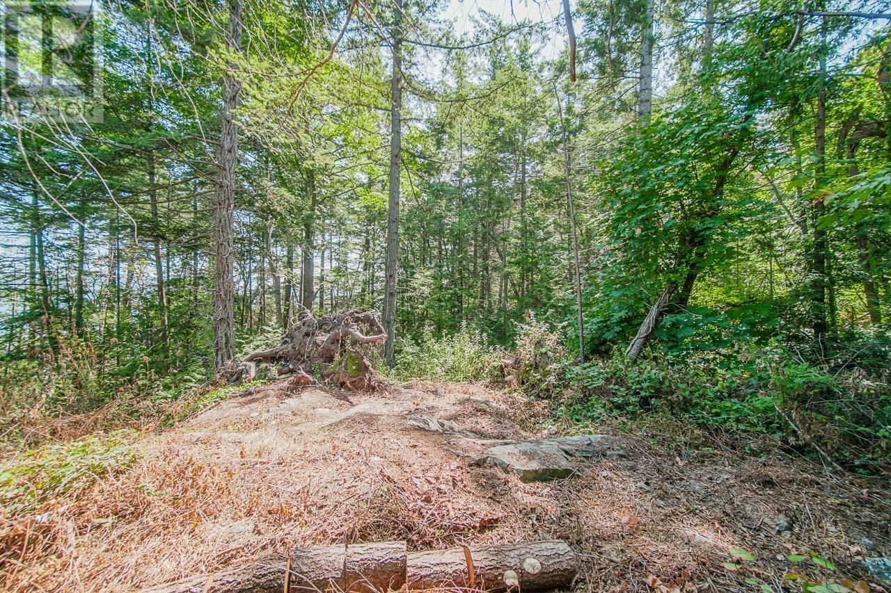 16 Passage Island, West Vancouver, British Columbia  V7W 1V7 - Photo 4 - R2833774