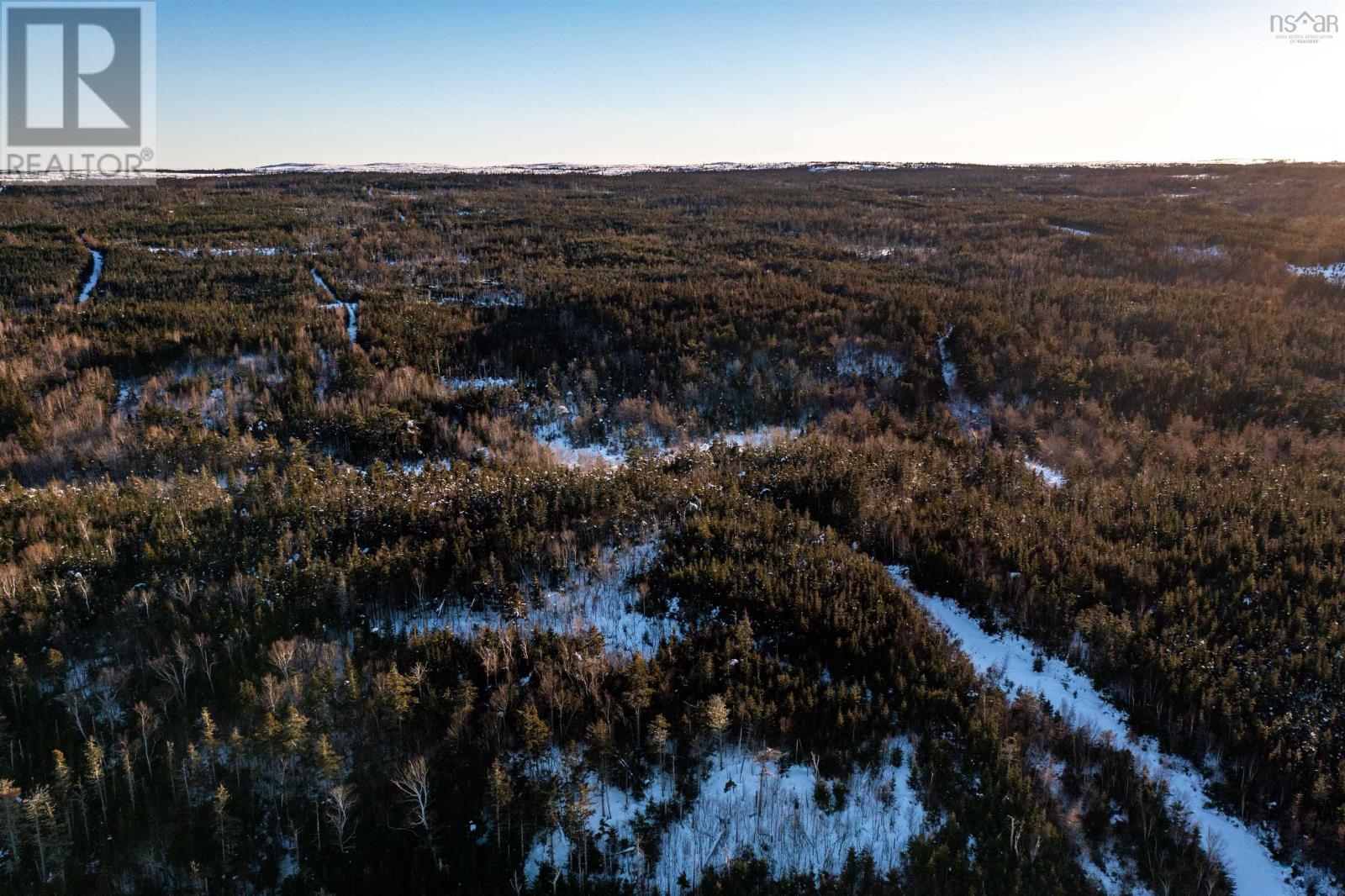 0 Highway 16, Peas Brook, Nova Scotia  B0H 1N0 - Photo 11 - 202402308