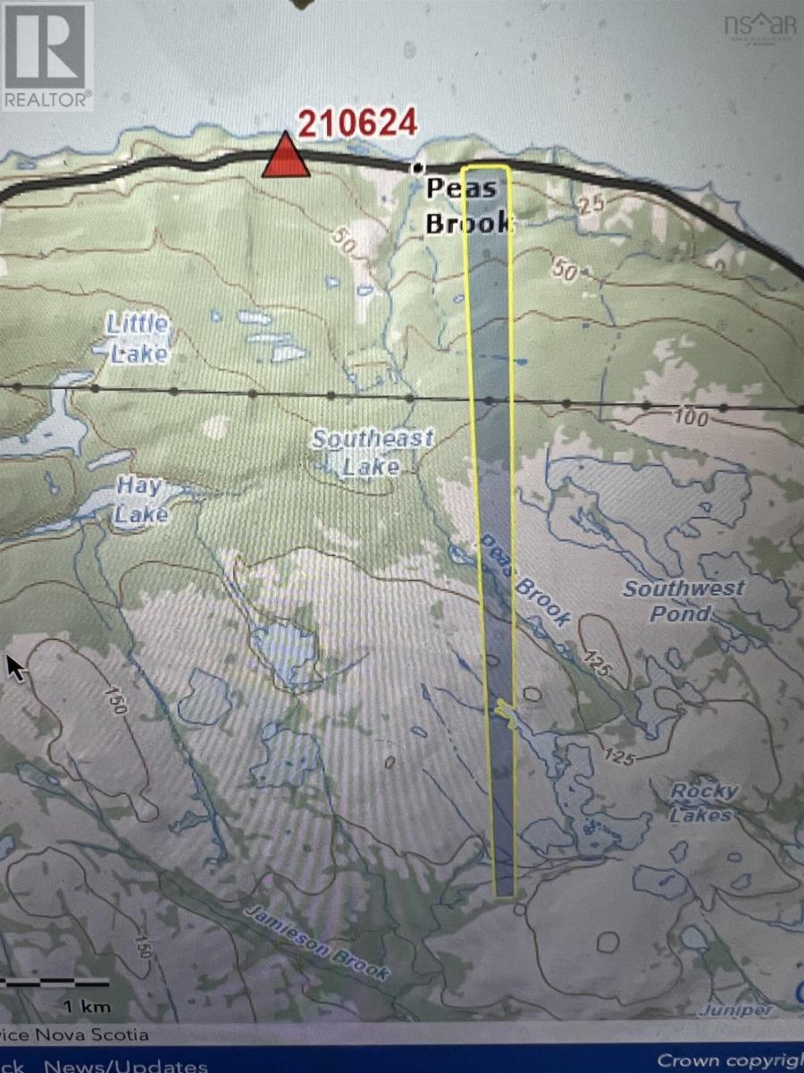 0 Highway 16, Peas Brook, Nova Scotia  B0H 1N0 - Photo 7 - 202402308