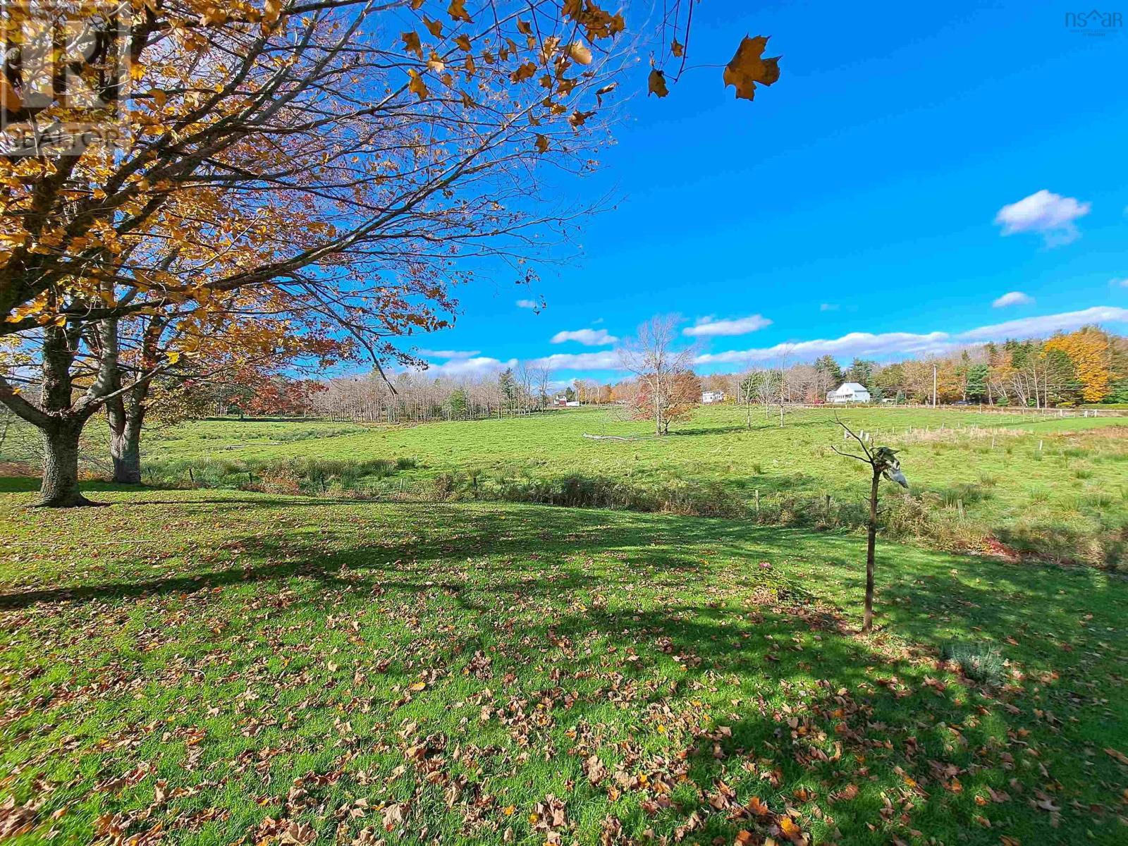 307 Lower Branch Road, Lower Branch, Nova Scotia  B4V 4M5 - Photo 18 - 202322833