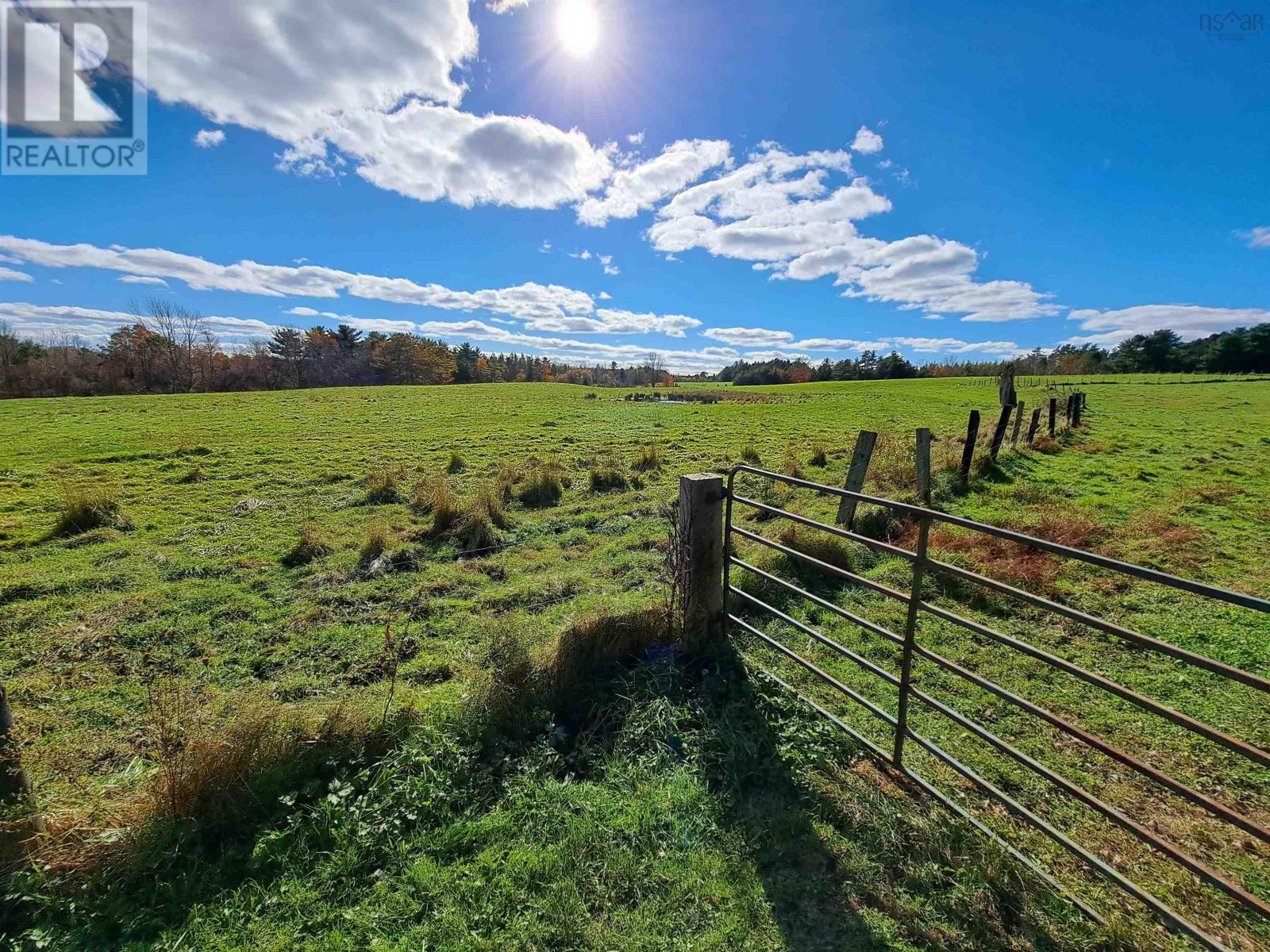 307 Lower Branch Road, Lower Branch, Nova Scotia  B4V 4M5 - Photo 19 - 202322833