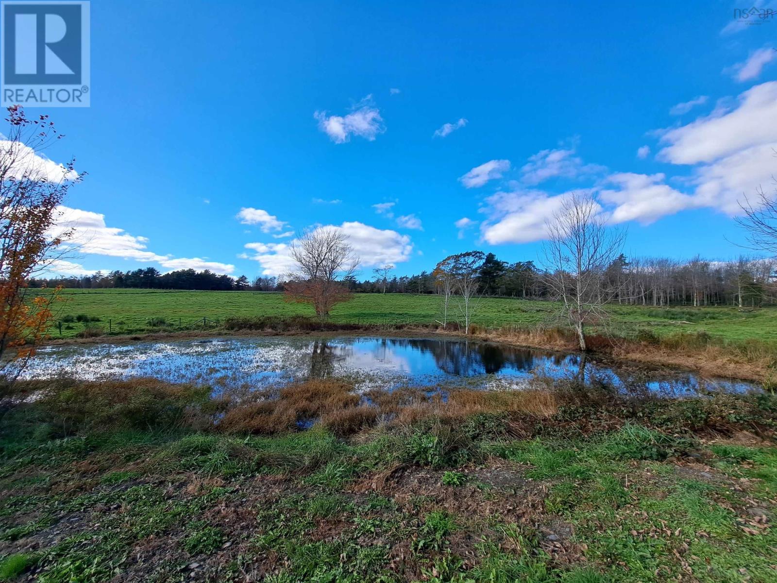 307 Lower Branch Road, Lower Branch, Nova Scotia  B4V 4M5 - Photo 21 - 202322833