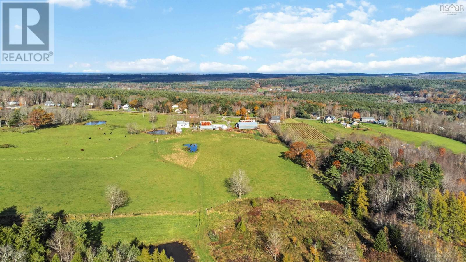 307 Lower Branch Road, Lower Branch, Nova Scotia  B4V 4M5 - Photo 46 - 202322833