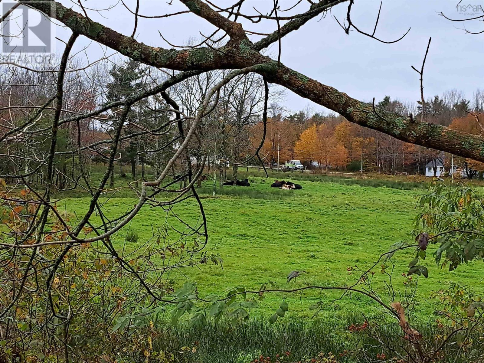 307 Lower Branch Road, Lower Branch, Nova Scotia  B4V 4M5 - Photo 7 - 202322833