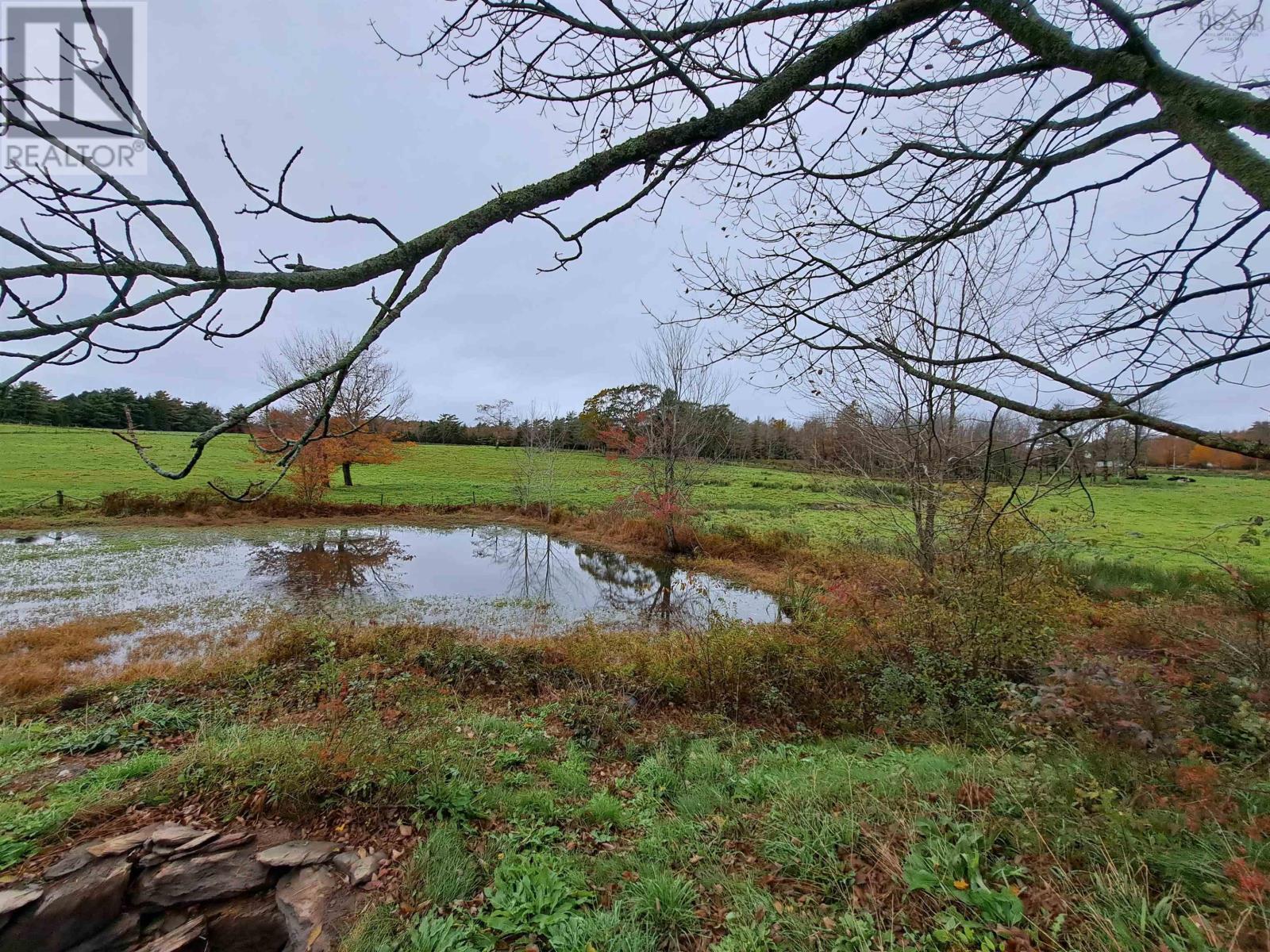 307 Lower Branch Road, Lower Branch, Nova Scotia  B4V 4M5 - Photo 8 - 202322833