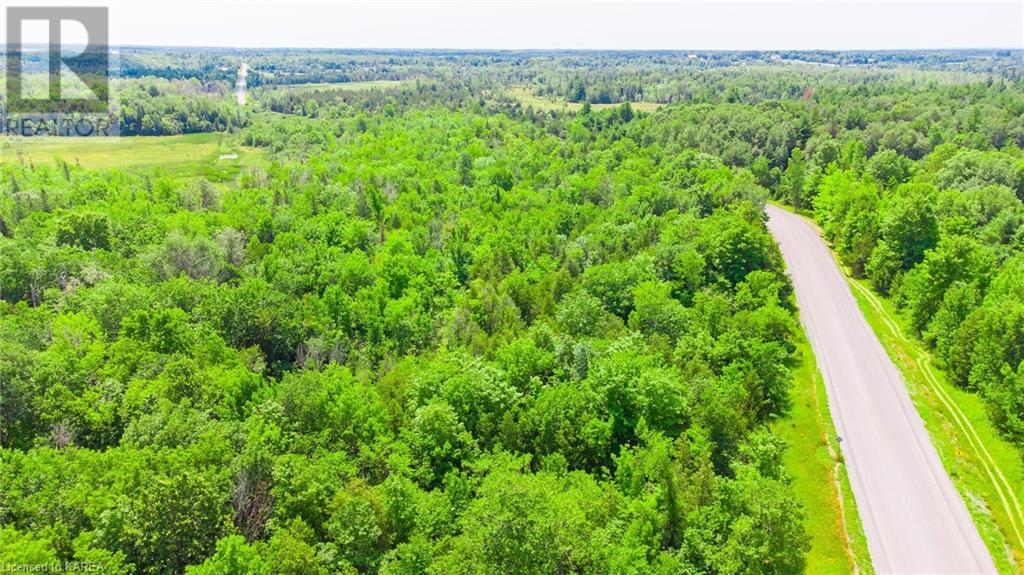 Part Lot 16 County Road 27, Centreville, Ontario  K0K 1N0 - Photo 3 - 40577977
