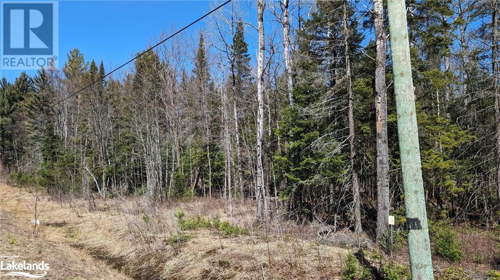 Lot 1 Berriedale Road, Armour, Ontario  P0A 1C0 - Photo 2 - 40578447