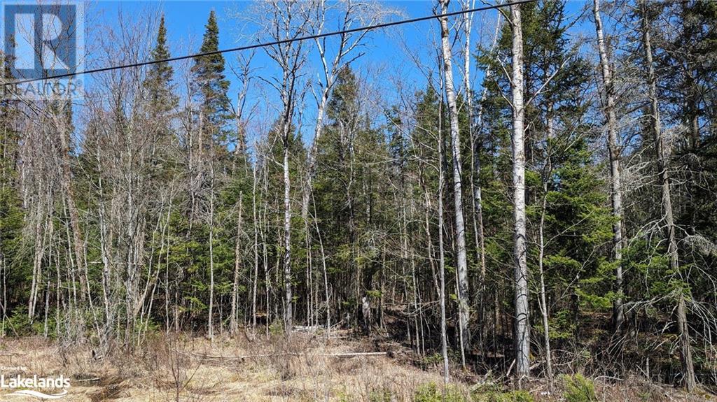 Lot 1 Berriedale Road, Armour, Ontario  P0A 1C0 - Photo 3 - 40578447