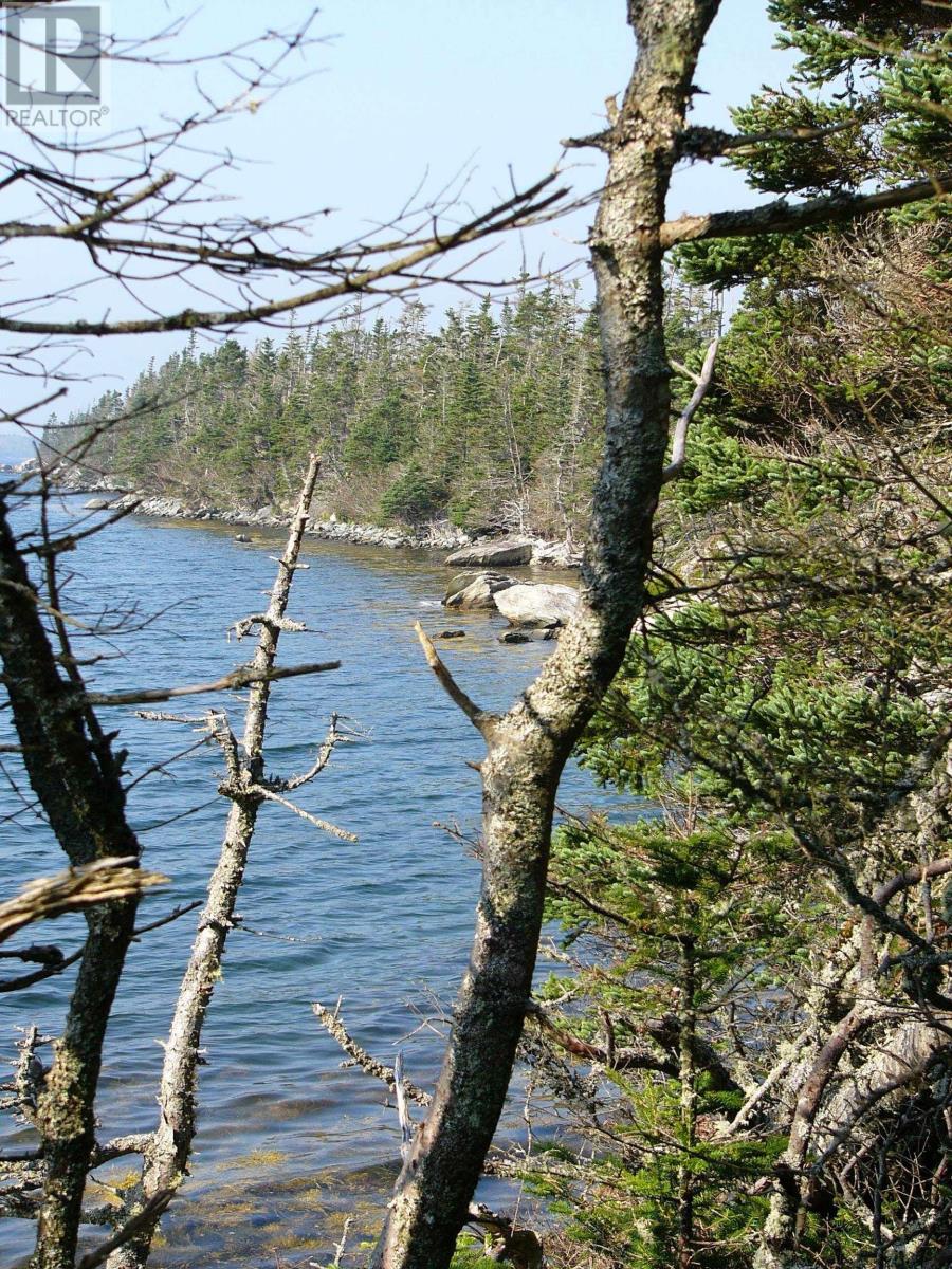 Hartlings Island, Ecum Secum, Nova Scotia  B0J 2K0 - Photo 26 - 202408489