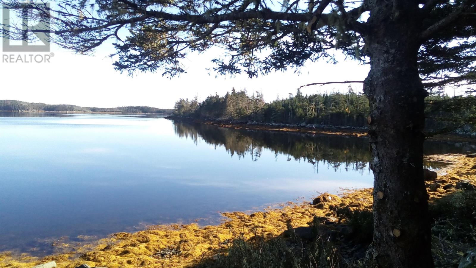 Hartlings Island, Ecum Secum, Nova Scotia  B0J 2K0 - Photo 4 - 202408489