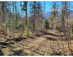 Proposed - Lot 92 MONTANE PARKWAY