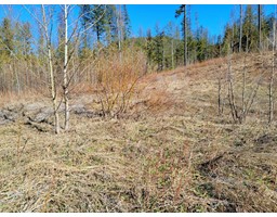 Proposed - Lot 90 MONTANE PARKWAY