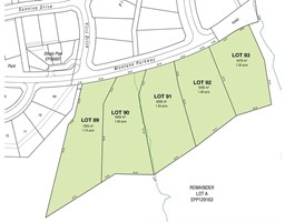 Proposed - Lot 90 MONTANE PARKWAY