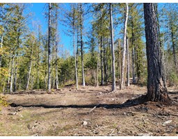 Proposed - Lot 93 MONTANE PARKWAY