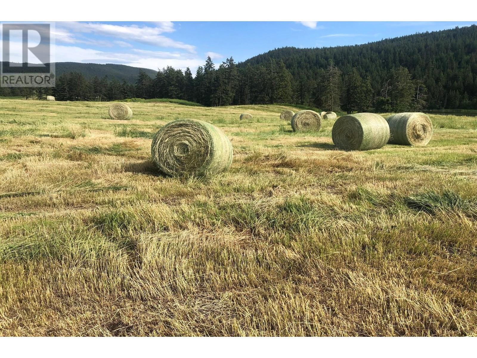 2045/2052 Barnhartvale Road, Kamloops, British Columbia  V2C 6Y1 - Photo 14 - 178113