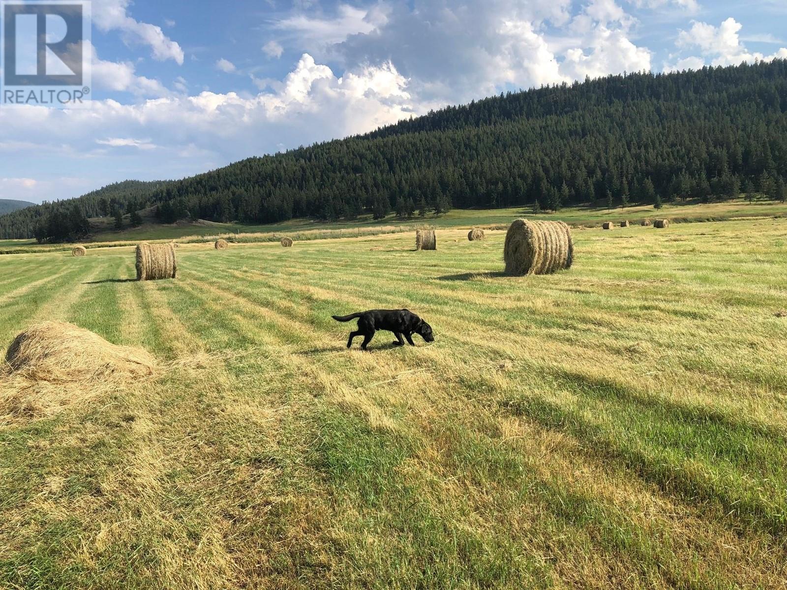 2045/2052 Barnhartvale Road, Kamloops, British Columbia  V2C 6Y1 - Photo 16 - 178113