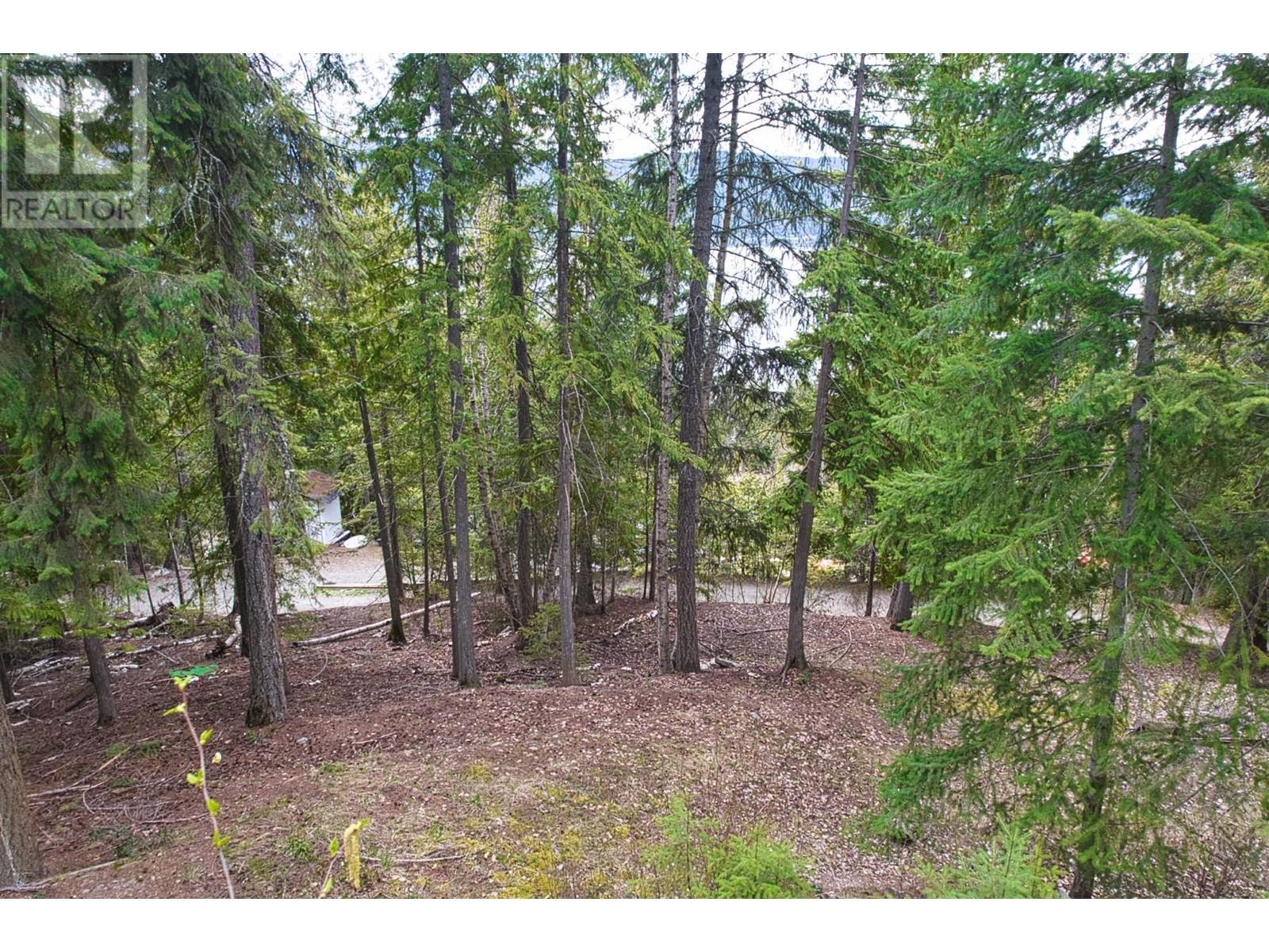 7566 Lonneke Trail, Anglemont, British Columbia  V0E 1A0 - Photo 5 - 10310704
