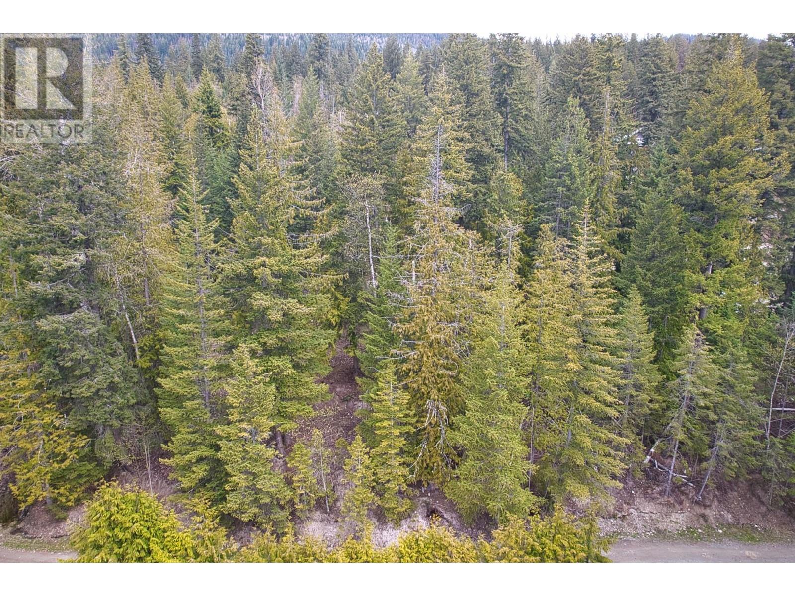 7566 Lonneke Trail, Anglemont, British Columbia  V0E 1A0 - Photo 7 - 10310704