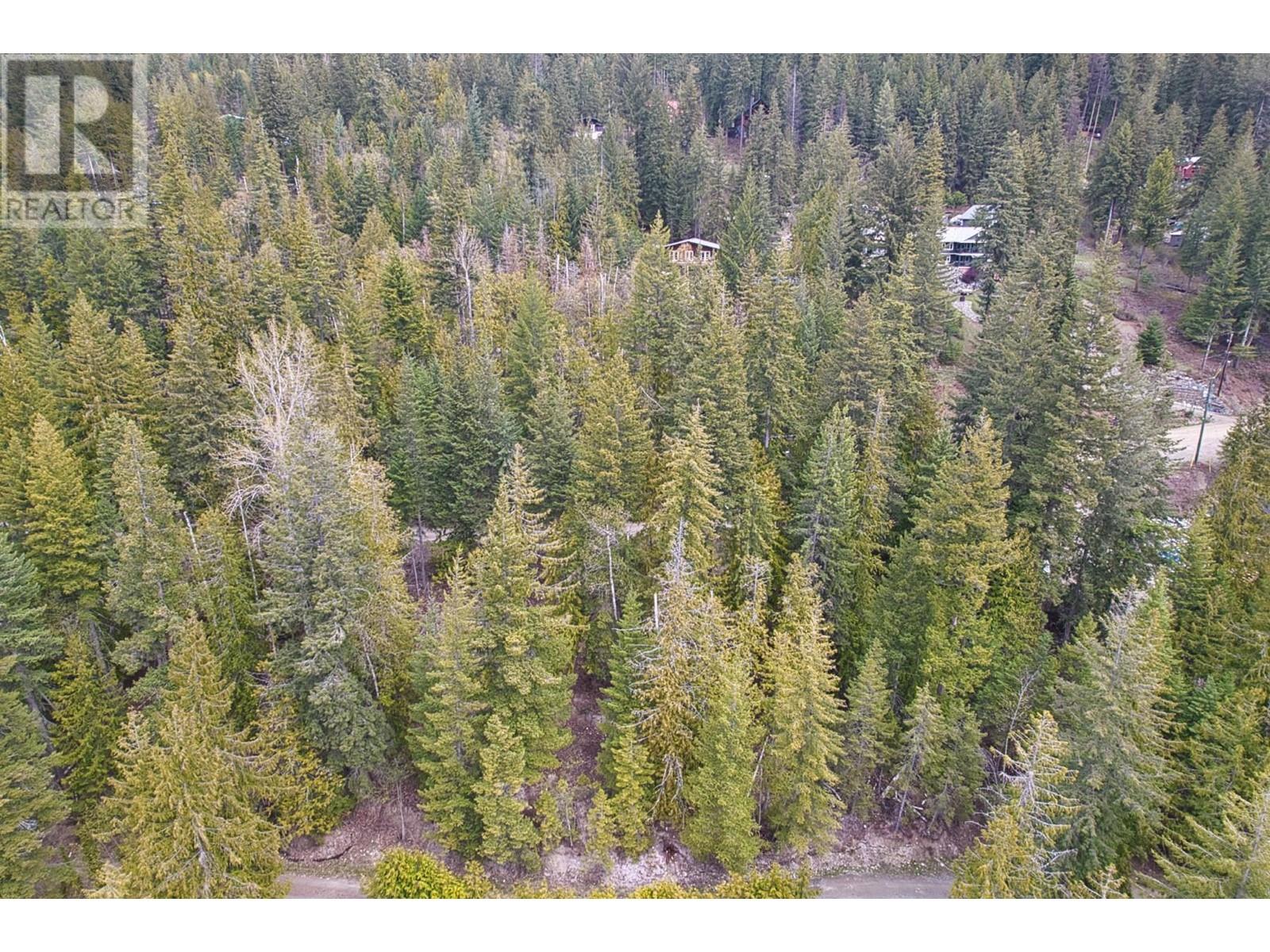 7566 Lonneke Trail, Anglemont, British Columbia  V0E 1A0 - Photo 8 - 10310704