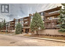 411, 3730 50 Street NW, calgary, Alberta