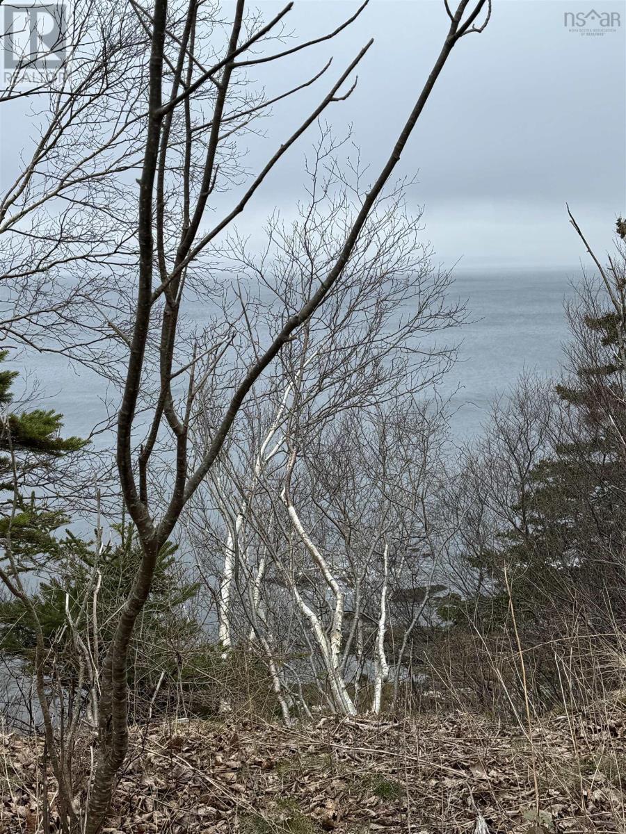 0 Highway 16, peas brook, Nova Scotia