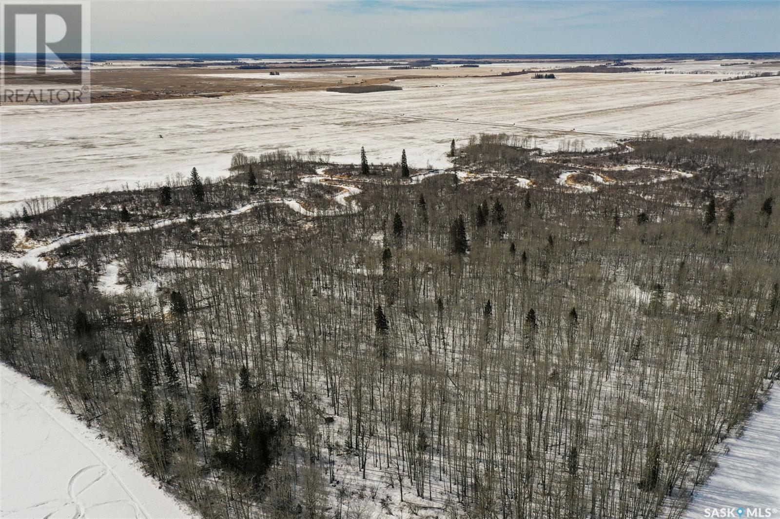 Collinson Land, Hudson Bay, Saskatchewan  S0E 0Y0 - Photo 2 - SK959828