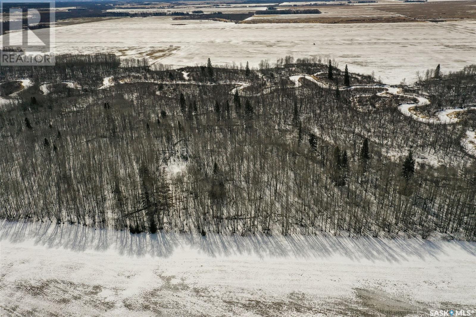 Collinson Land, Hudson Bay, Saskatchewan  S0E 0Y0 - Photo 8 - SK959828