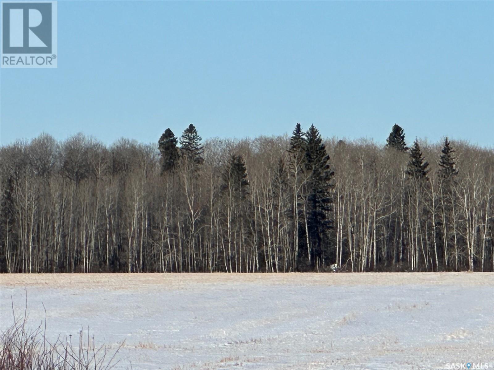 Collinson Land, Hudson Bay, Saskatchewan  S0E 0Y0 - Photo 3 - SK959828