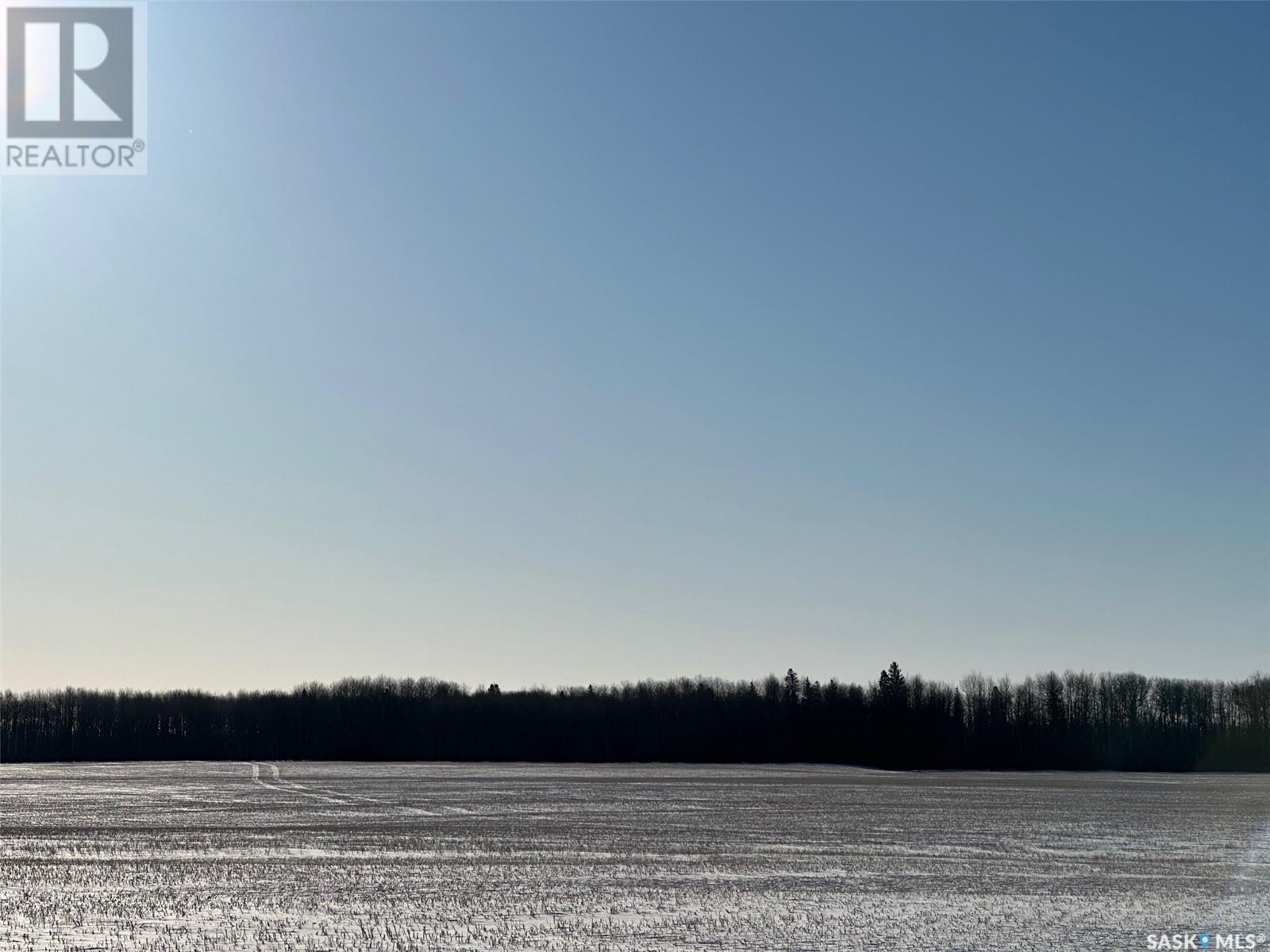 Collinson Land, Hudson Bay, Saskatchewan  S0E 0Y0 - Photo 4 - SK959828