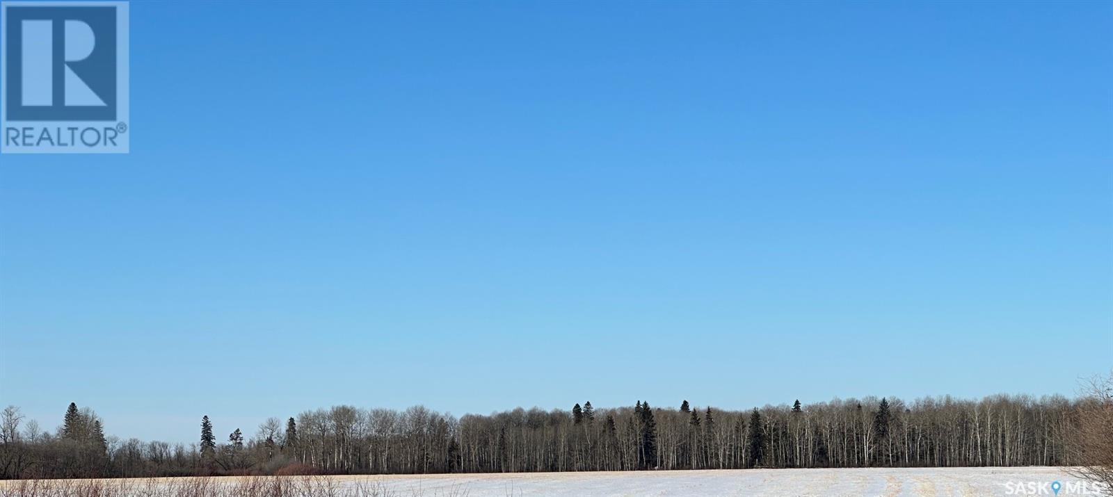 Collinson Land, Hudson Bay, Saskatchewan  S0E 0Y0 - Photo 5 - SK959828