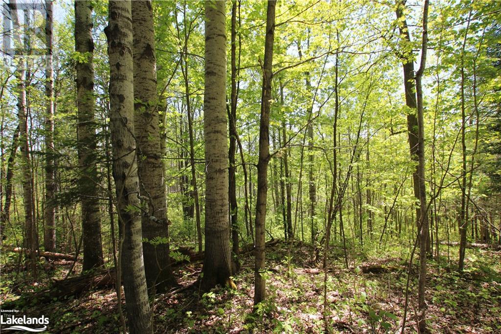 0 Hwy 534, Restoule, Ontario  P0H 2R0 - Photo 10 - 40567528