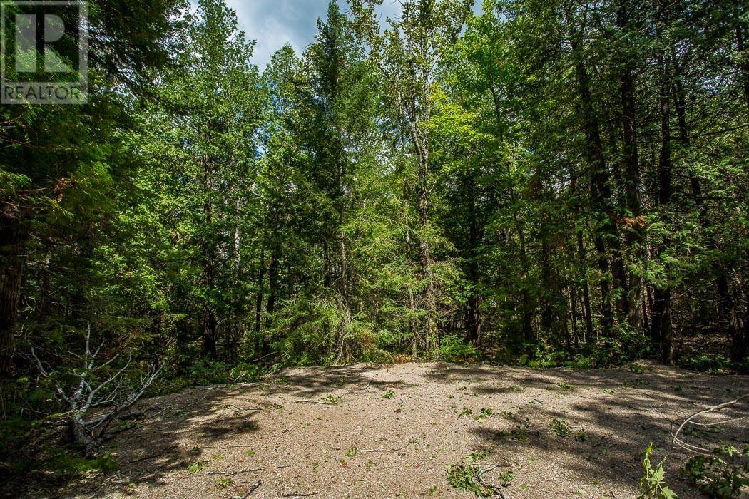 Lot 28 Richmond Bay Rd, Hilton Township, St. Joseph Island, Ontario  P0R 1G0 - Photo 15 - SM222049