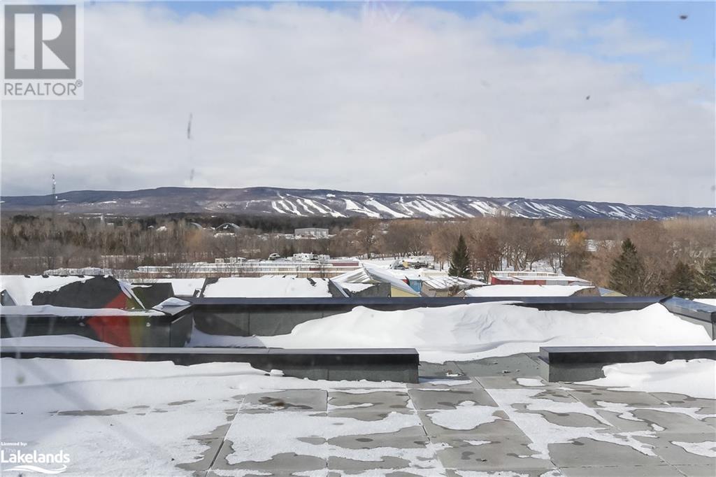 8-10 Harbour Street W Unit# 210, Collingwood, Ontario  L9Y 5B4 - Photo 13 - 40578518