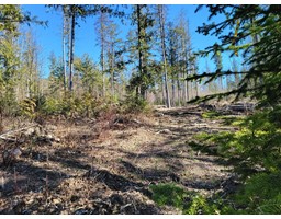 Proposed - Lot 91 MONTANE PARKWAY