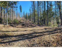 Proposed - Lot 91 MONTANE PARKWAY