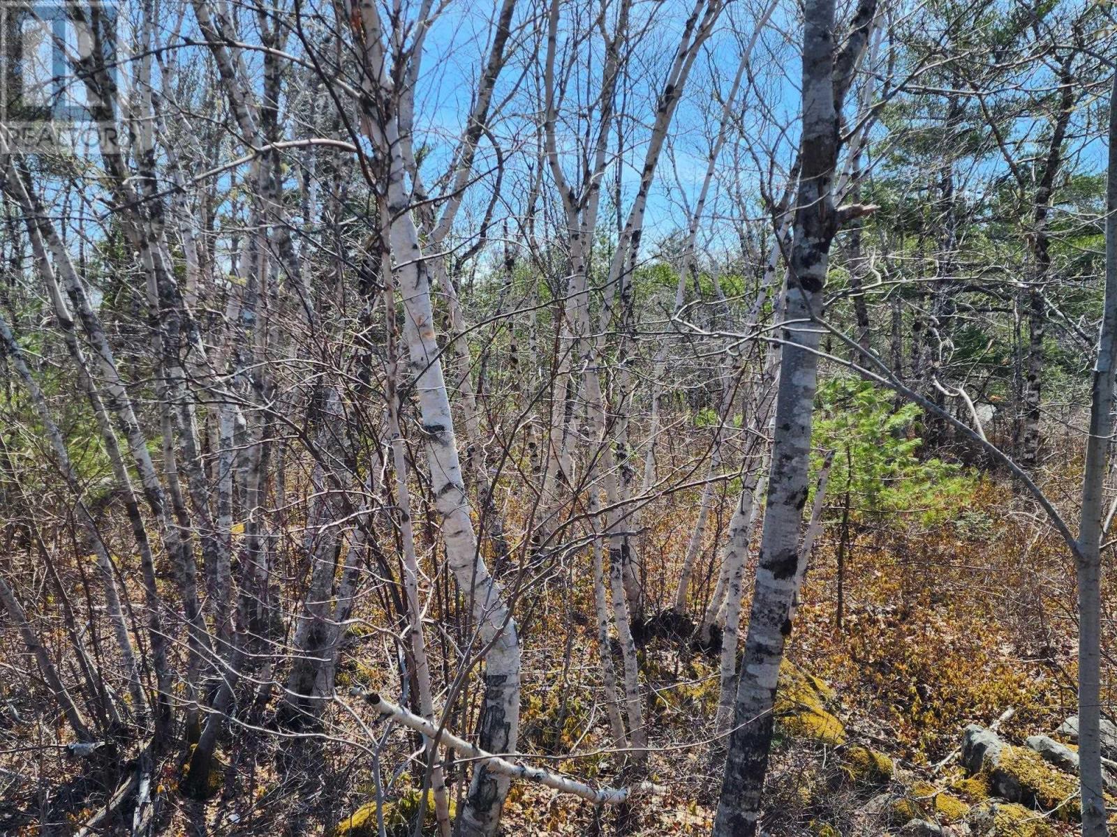 Lot 15 Medway Harbour Road, Mill Village, Nova Scotia  B0J 2H0 - Photo 10 - 202306483