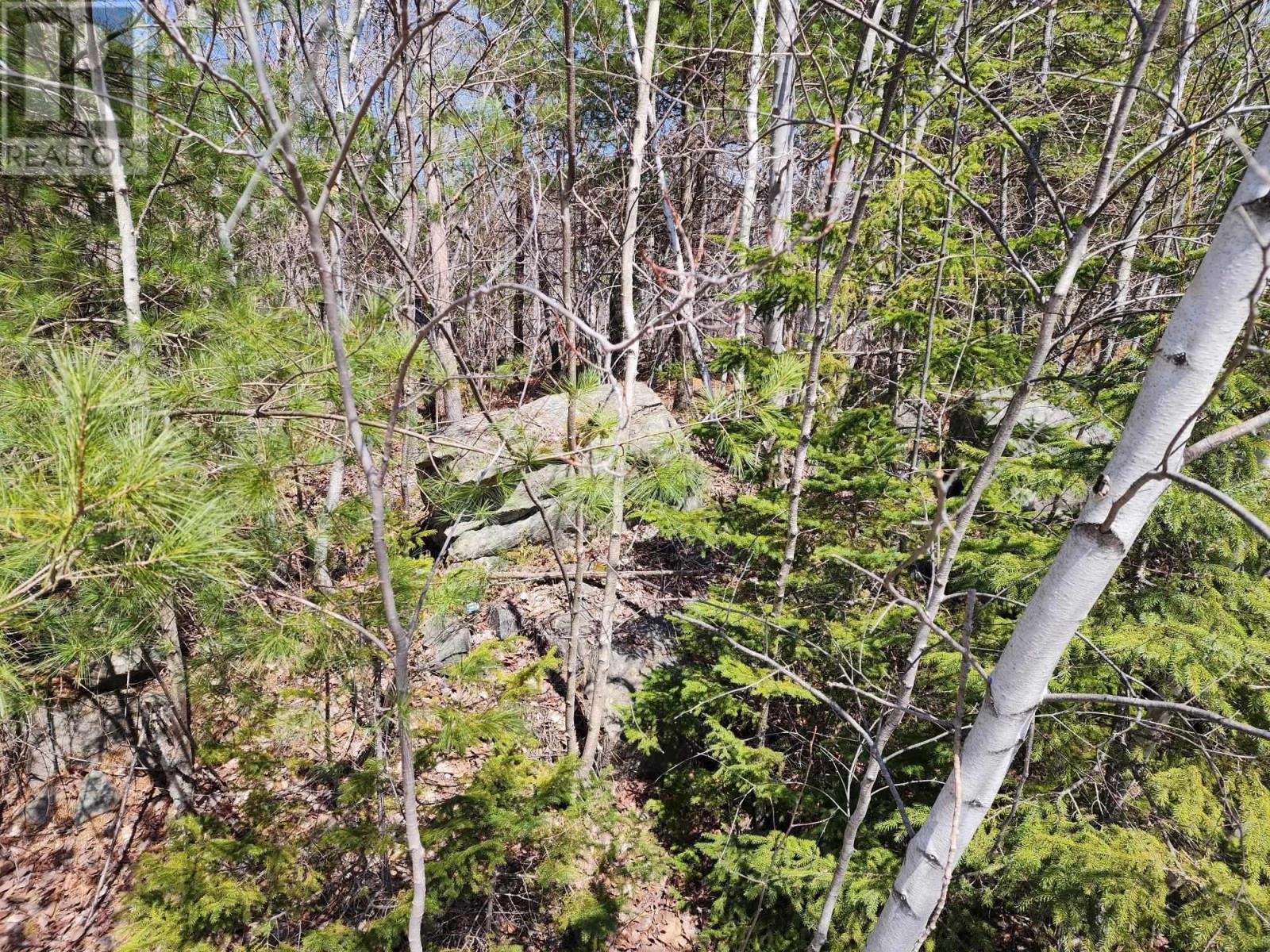 Lot 15 Medway Harbour Road, Mill Village, Nova Scotia  B0J 2H0 - Photo 3 - 202306483