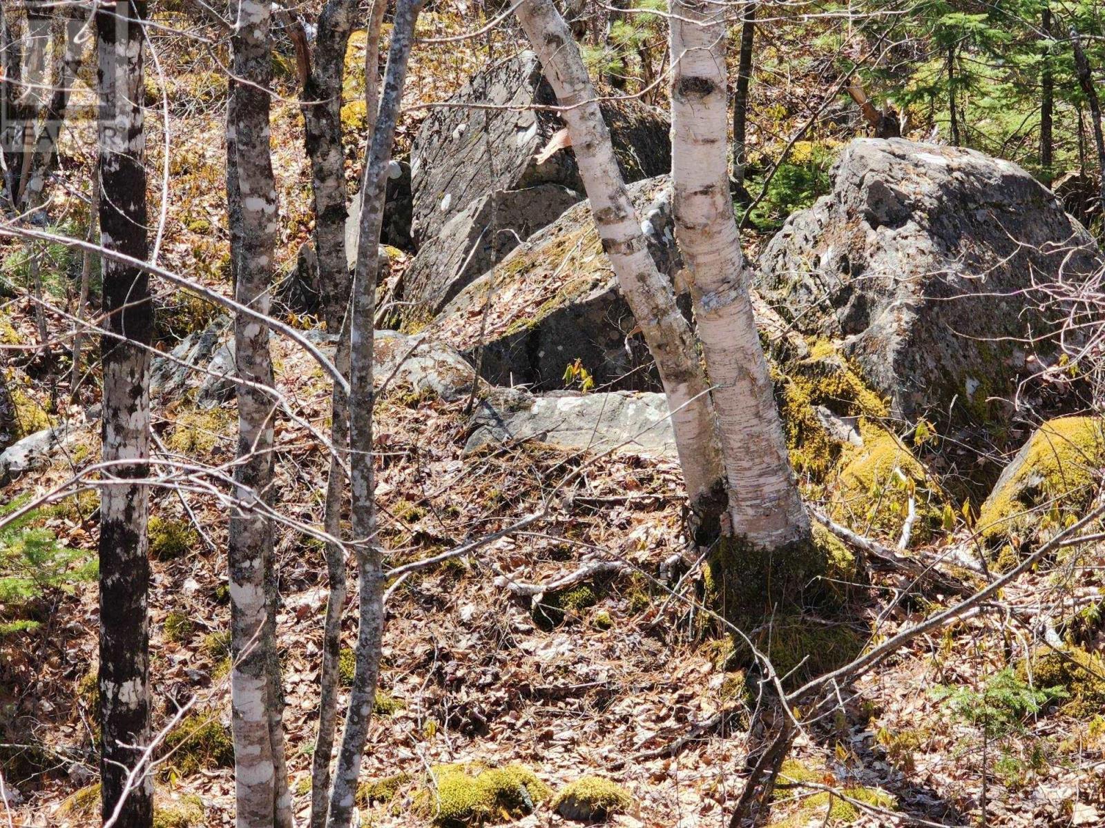 Lot 15 Medway Harbour Road, Mill Village, Nova Scotia  B0J 2H0 - Photo 4 - 202306483