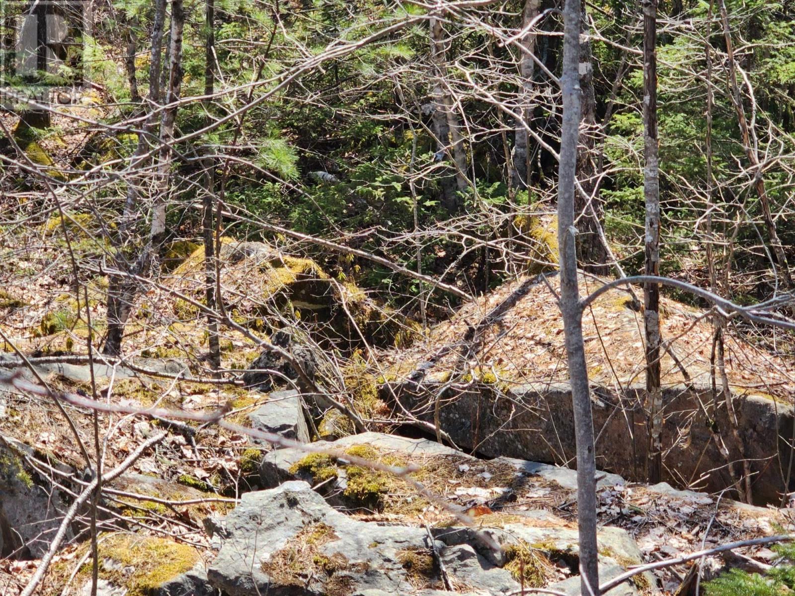 Lot 15 Medway Harbour Road, Mill Village, Nova Scotia  B0J 2H0 - Photo 5 - 202306483